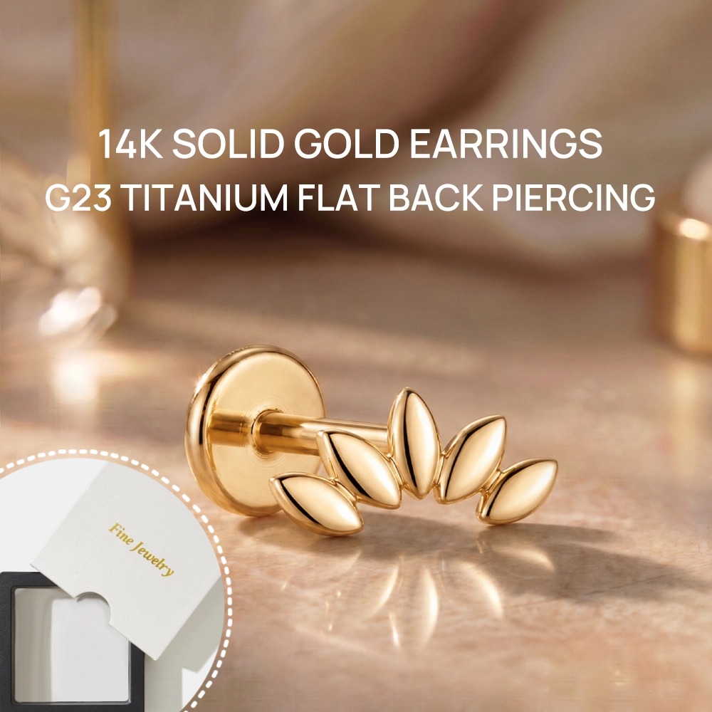 DIeSchein 14K Solid Gold Stud  - Body Jewelry Hypoallergenic 评论和价格